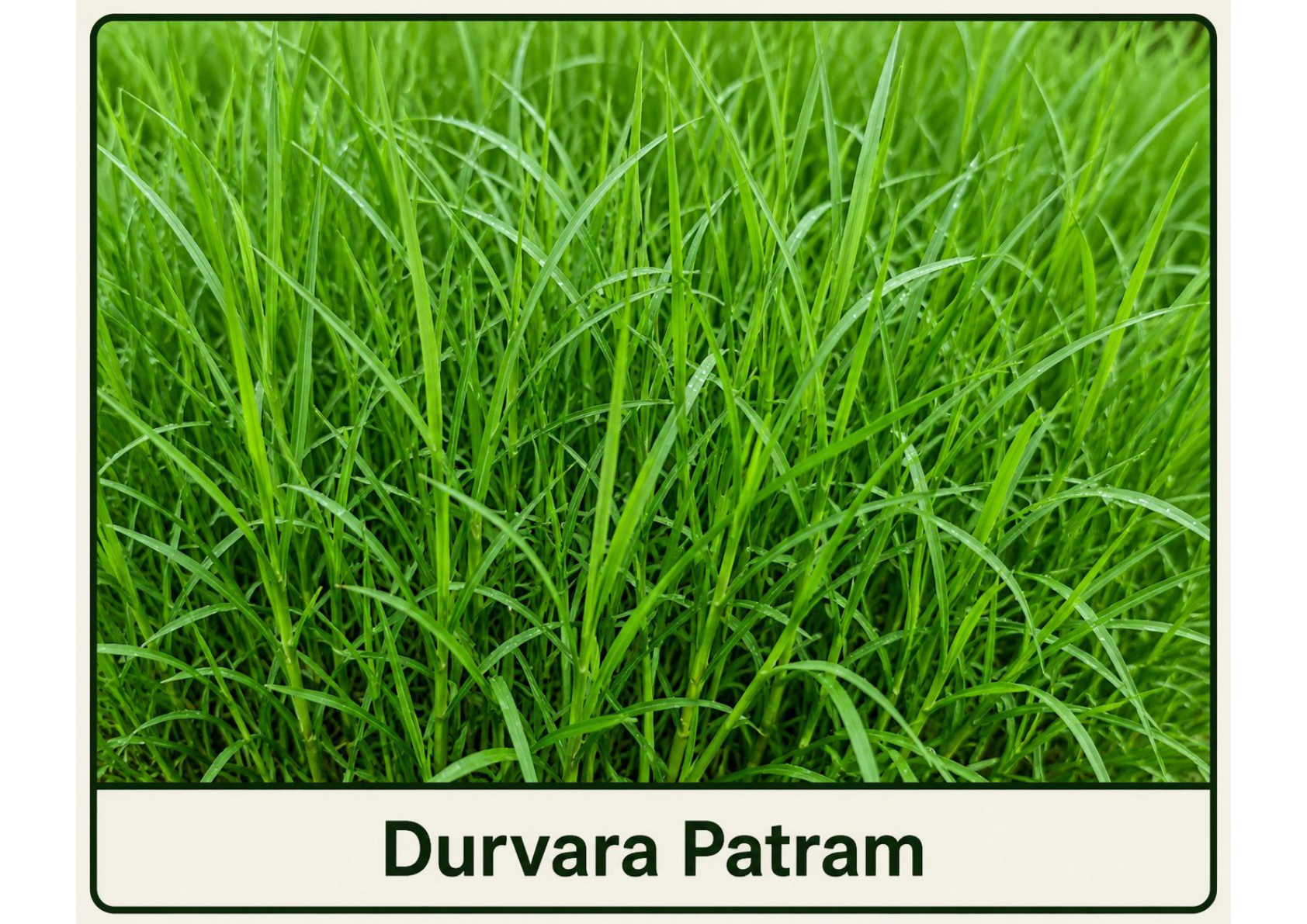 Durva